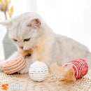 Varinha Interativa de Penas para Gatos - Conjunto de 7 Peças Brinquedo para Pet, Gato, Felinos. Franco Center 