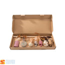 Varinha Interativa de Penas para Gatos - Conjunto de 7 Peças Brinquedo para Pet, Gato, Felinos. Franco Center 